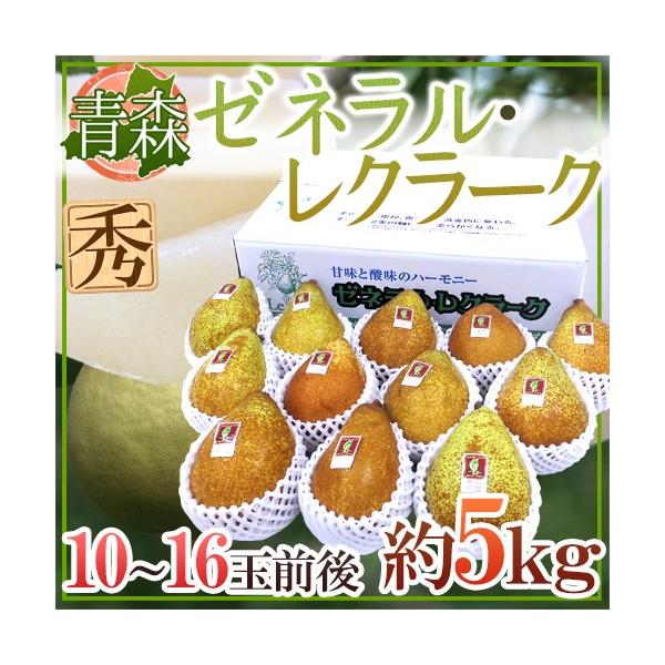 XY h[lN[Nh Gi 10`16 5kg my\ 11ȍ~z 