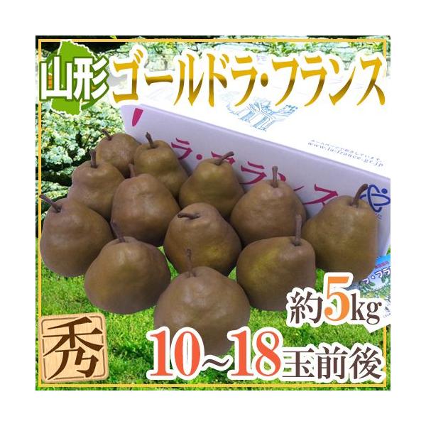 R`Y hS[htXh Gi 10`18ʑO 5kg my\ 11{ȍ~z 