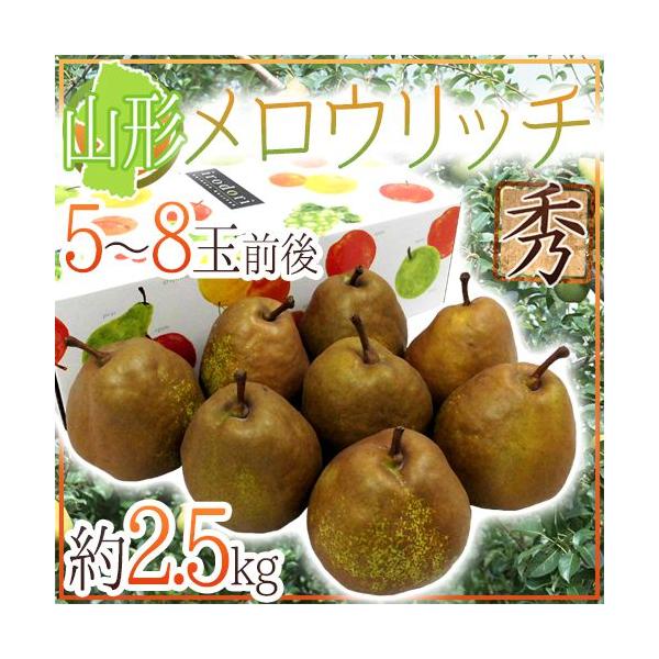 hR`Y Eb`h Gi 5`8ʑO 2.5kg ϔ my\ 10ȍ~z 