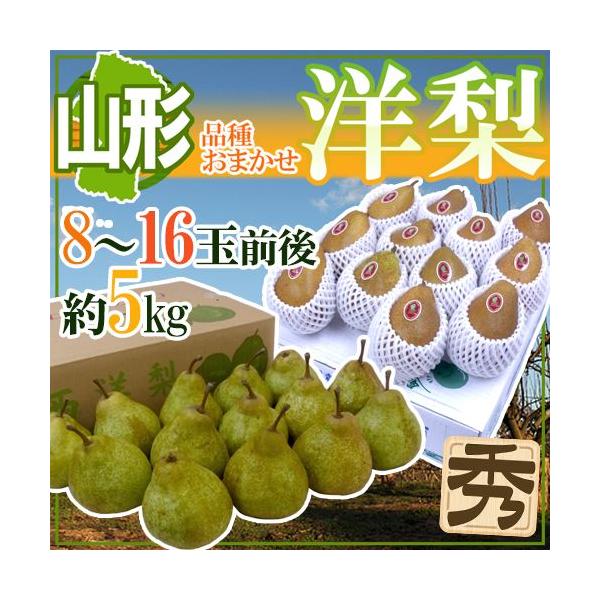 R`Y hmh Gi 8`16ʑO 5kg i킨܂ EtXAI[AVo[xȂǁy\ 10{ȍ~z 