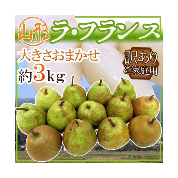 hR`Y tXh 󂠂 3kg 傫܂ EtX my\ 11ȍ~z 