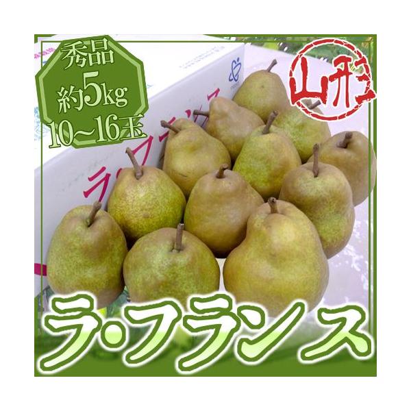 R`Y htXh Gi 10`18ʑO 5kg Yn EtX my\ 11ȍ~z 