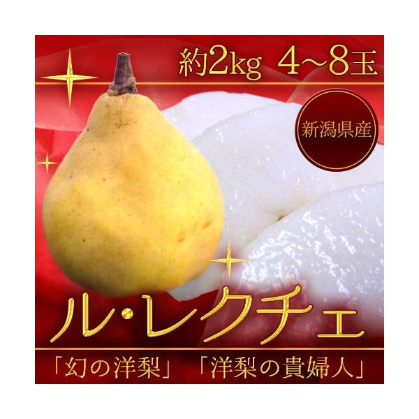 VY hEN`Fh Ǖi 4`8 2kg m 󂠂 ƒpy\ 12ȍ~z 