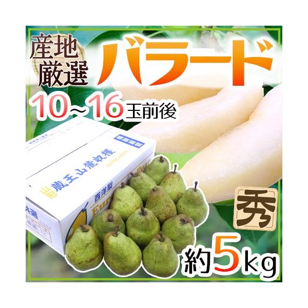 ho[hh Gi 10`16ʑO 5kg YnI my\ 9ȍ~z 