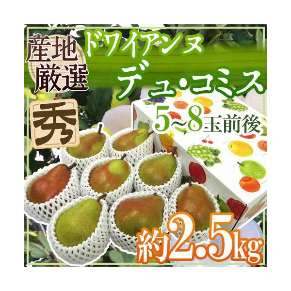 hhCAkEfER~Xh Gi 5`8ʑO 2.5kg ϔ YnI my\ 12ȍ~z 