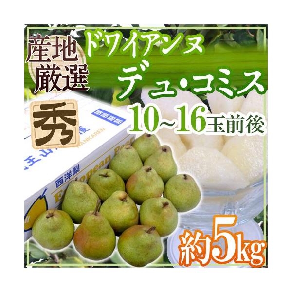 hhCAkEfER~Xh Gi 10`16ʑO 5kg YnI my\ 12ȍ~z 