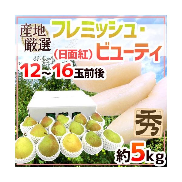 ht~bVEr[eB[h Gi 12`16ʑO 5kg YnI my\ 9ȍ~z 