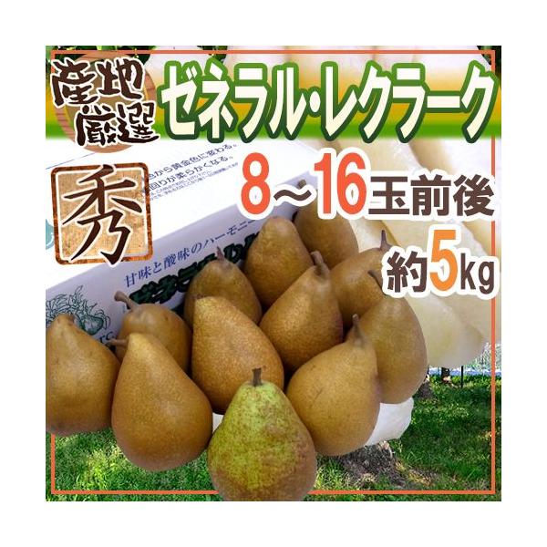 h[lN[Nh Gi 8`16ʑO 5kg YnI my\ 10{ȍ~z 