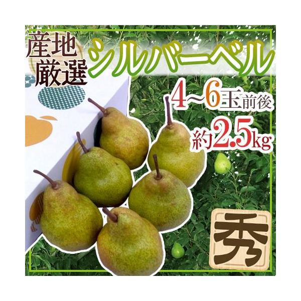 hVo[xh Gi 4`6ʑO 2.5kg ϔ YnI my\ 12ȍ~z 