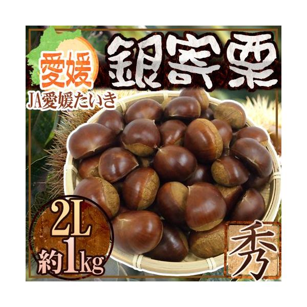 hQ JA Ih Gi 2L 1kgy\ 10ȍ~z