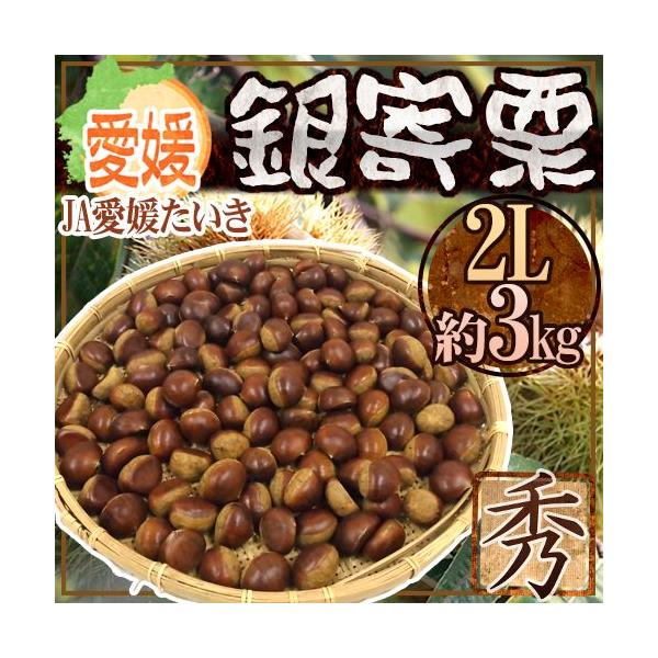 hQ JA Ih Gi 2L 3kgy\ 10ȍ~z 