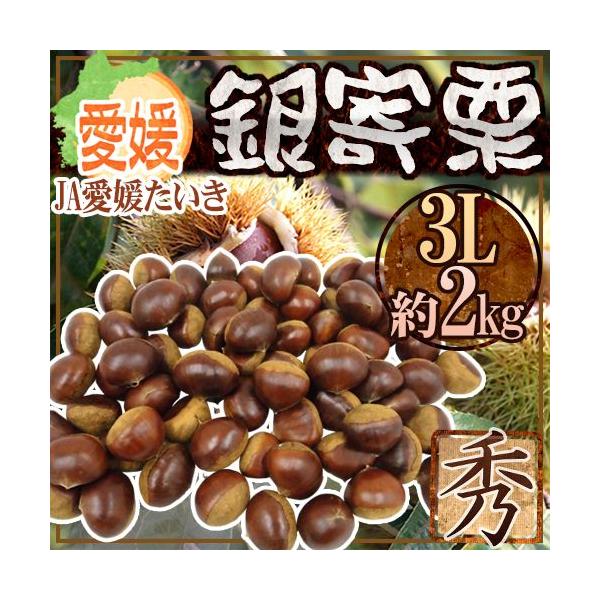 hQ JA Ih Gi 嗱3L 2kgy\ 10ȍ~z 