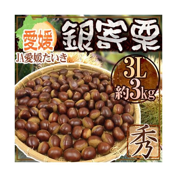 hQ JA Ih Gi 嗱3L 3kgy\ 10ȍ~z 