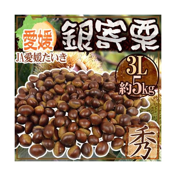 hQ JA Ih Gi 嗱3L 5kgy\ 10ȍ~z 