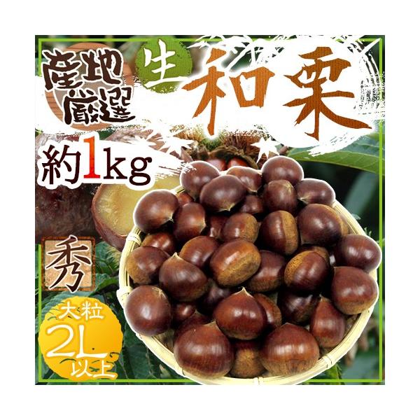 hYaIh Gi 嗱2LTCYȏ 1kg YnI Iy\ 9{ȍ~z 