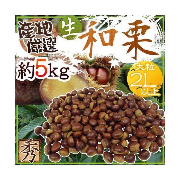 hYaIh Gi 嗱2LTCYȏ 5kg YnI Iy\ 9{ȍ~z 