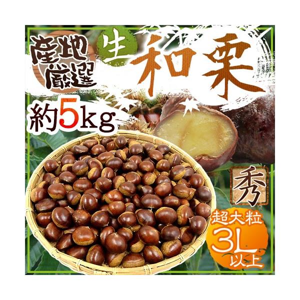 hYaIh Gi 嗱3LTCYȏ 5kg YnI Iy\ 9{ȍ~z 