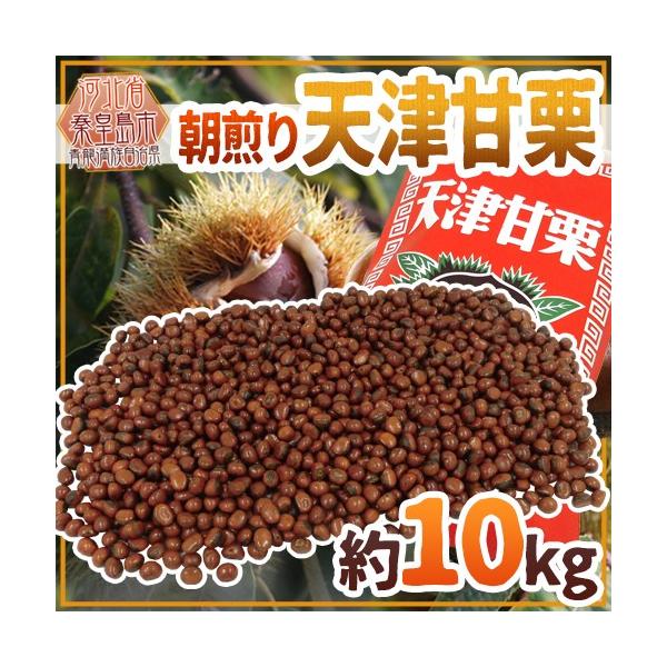 ĂāEu肽Ă𓖓I hVÊÌIh 10kg ospܕttCxgEՂEwՁEГsɁy\ 10{ȍ~z 