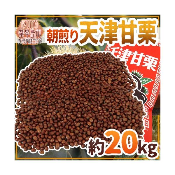 ĂāEu肽Ă𓖓I hVÊÌIh 20kg ospܕttCxgEՂEwՁEГsɁy\ 10{ȍ~z 