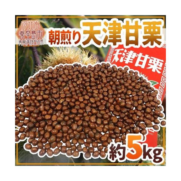 価格.com】甘納豆・甘栗 | 通販・価格比較・製品情報
