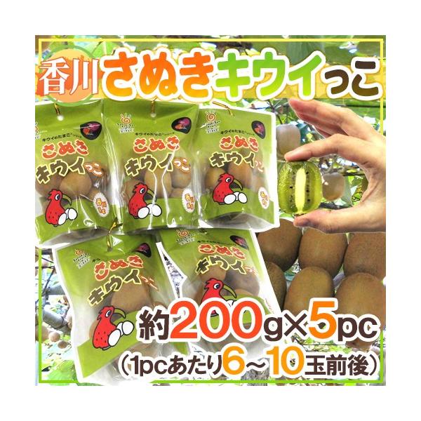 쌧 hʂLECh 200g×s5pcti1pc6`11ʑOjy\ 11ȍ~z 