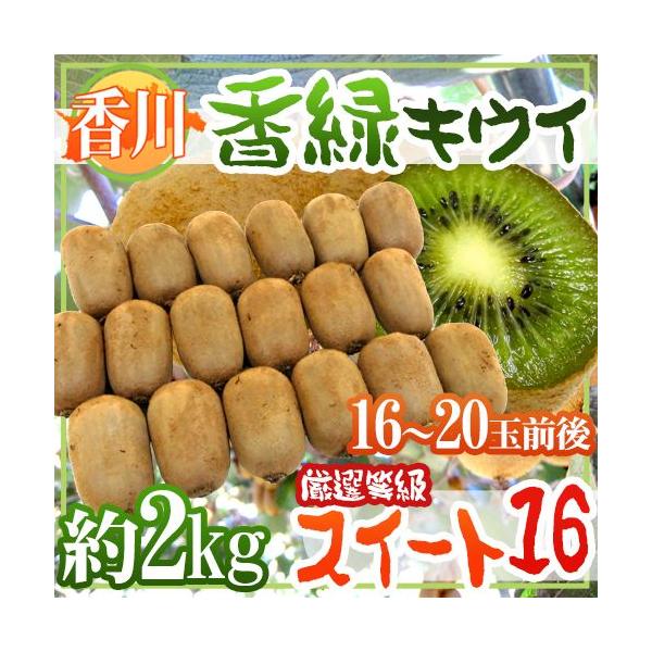 h쌧  XC[g16h 16`20ʑO 2kg Œᓜx15.5xȏۏ LECy\ 11{ȍ~z 