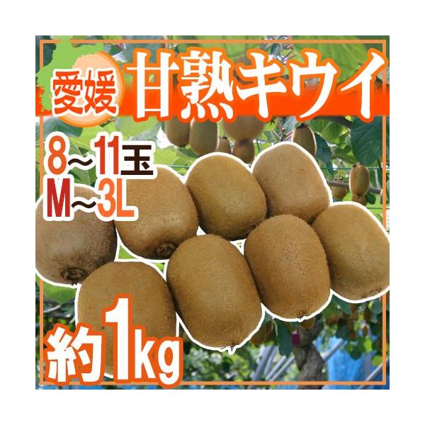 hQ ÏnLECh Gi 8`11ʑO 1kgy\ 12ȍ~z