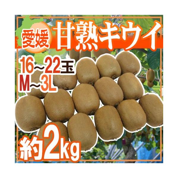 hQ ÏnLECh Gi 16`22ʑO 2kgy\ 12ȍ~z 