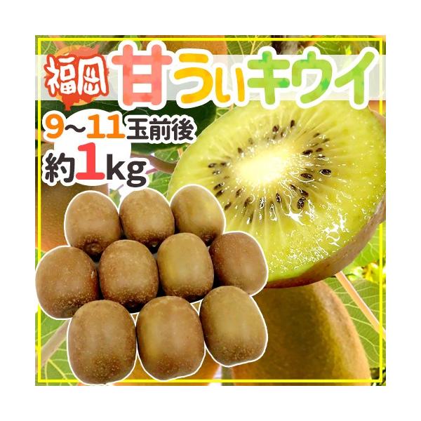 hY ÂLECh Gi 9`11ʑO 1kg ܂LECy\ 10{ȍ~z 