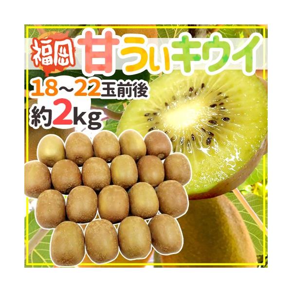 hY ÂLECh Gi 18`22ʑO 2kg ܂LECy\ 10{ȍ~z 