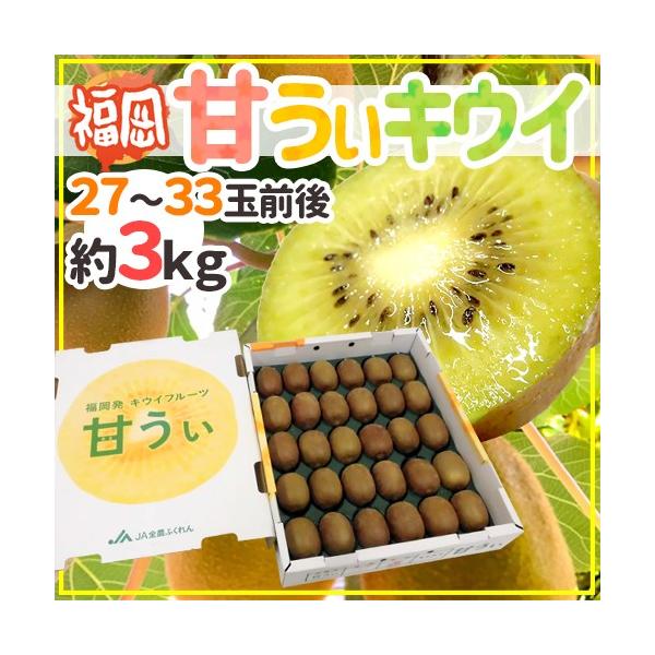 Y hÂLECh Gi 27`33ʑO 3kg ܂LECy\ 10{ȍ~z 