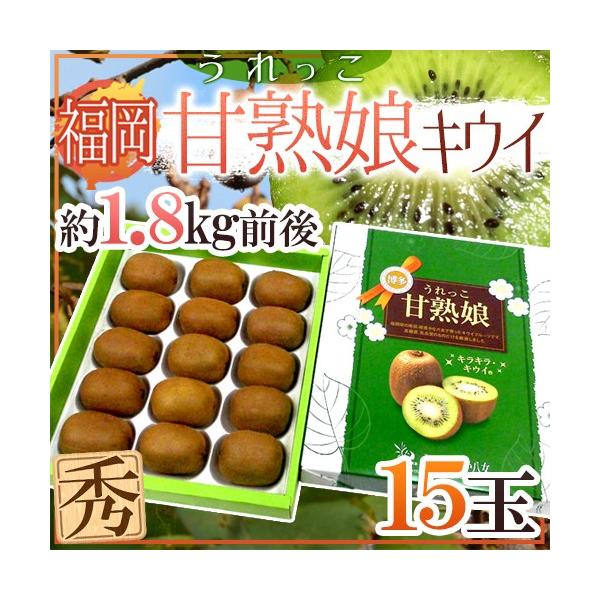  Y hÏnijLECh Gi 15 1.8kgO ϔy\ 12{ȍ~z