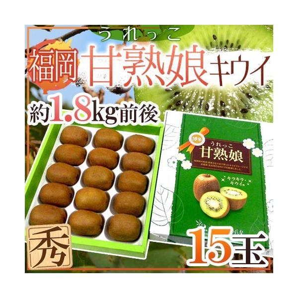  Y hÏnijLECh Gi 15 1.8kgO ϔy\ 12{ȍ~z 