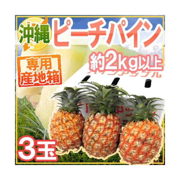 [Release date: March 25, 2026]【送料無料】甘〜くてジューシー♪緻密で柔らかな乳白色の果肉は噛むと甘い果汁がジュワァ〜っと溢れ出ます♪イガイガせず酸味の少ない芯まで食べられる希少品種！「中元」ミルクパイン/ソフト...