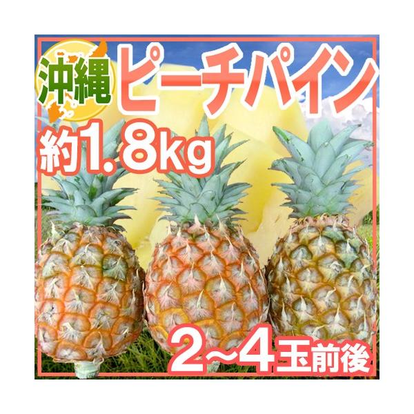 [Release date: March 25, 2026]【送料無料】甘〜くてジューシー♪緻密で柔らかな乳白色の果肉は噛むと甘い果汁がジュワァ〜っと溢れ出ます♪イガイガせず酸味の少ない芯まで食べられる希少品種！/フルーツ/果物/1.8キロ/爆買