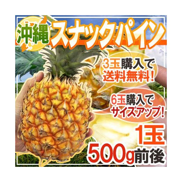 [Release date: March 25, 2026]甘〜くてジューシー♪手でちぎって食べられる！楽しさ抜群のパイナップル！芯まで食べられるから満足感たっぷり♪イガイガ感や酸味も少なく食べやす〜い！「中元」/フルーツ/果物/爆買