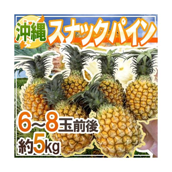 [Release date: March 25, 2026]【送料無料】甘〜くてジューシー♪手でちぎって食べられる！楽しさ抜群のパイナップル！芯まで食べられるから満足感たっぷり♪イガイガ感や酸味も少なく食べやす〜い！/フルーツ/果物/5キロ/爆買