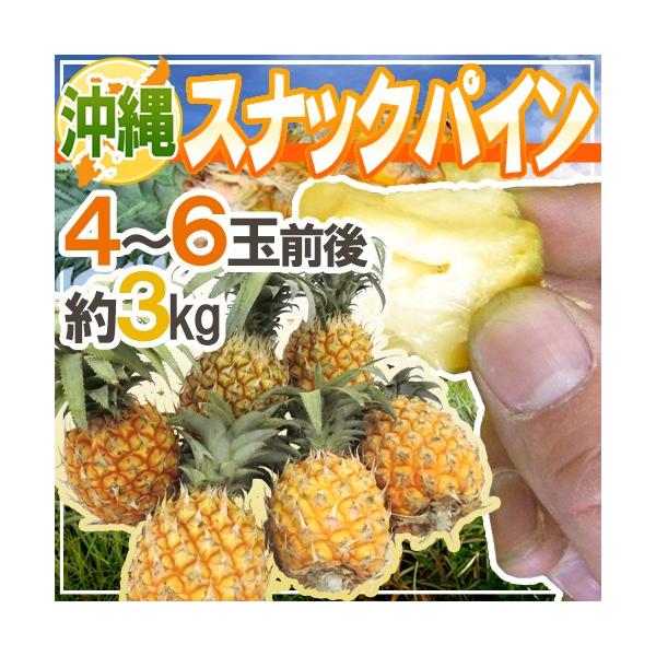 [Release date: March 25, 2026]【送料無料】甘〜くてジューシー♪手でちぎって食べられる！楽しさ抜群のパイナップル！芯まで食べられるから満足感たっぷり♪イガイガ感や酸味も少なく食べやす〜い！/フルーツ/果物/3キロ/爆買