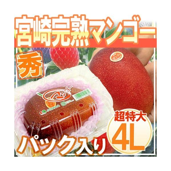 宮崎 高級 完熟マンゴー 4L 9パック 約4.5kg アップルマンゴー 南国 51uEfkA6C8L._UF350,350_QL80_.jpg