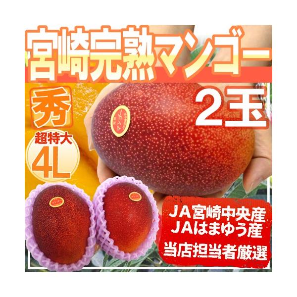 マンゴー+摘果 /19.8 kg including box マンゴー+摘果 /19.8 kg including box