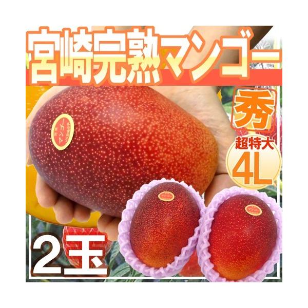 宮崎マンゴー” 秀品 超特大玉 4Lサイズ 2玉 宮崎完熟マンゴー