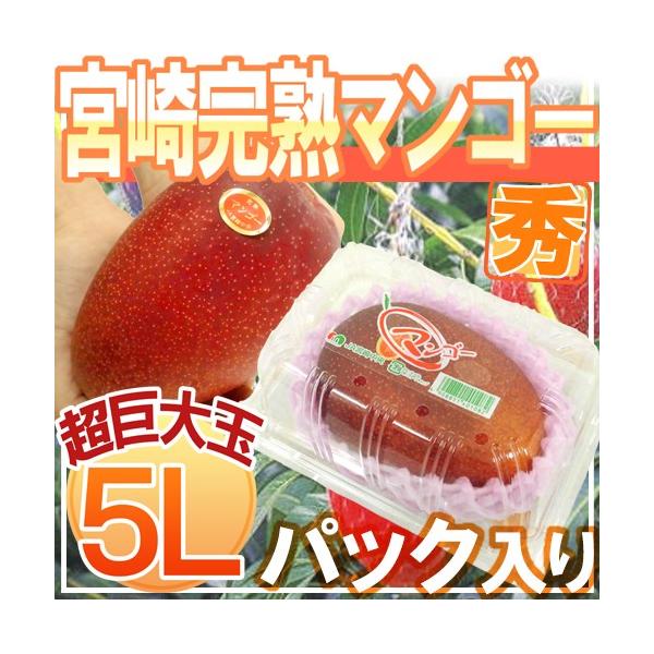 新品本物 宮崎県産マンゴー2l９パック 果物 Www Bulkmaterialequipment Com