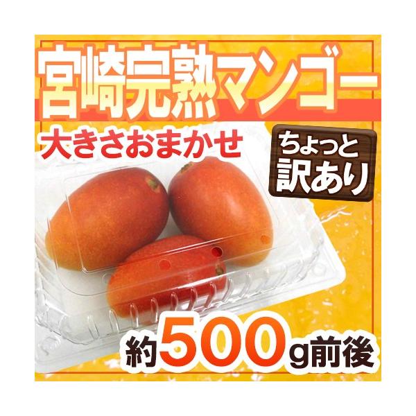 [Release date: March 31, 2026]うっとりするような甘い香りとなめらかな口当たり、とろける甘さ♪あの超有名ブランドマンゴー「宮崎完熟マンゴー」が登場！トロピカルな味わいは感動モノです！/母の日/父の日/お中元/フル...