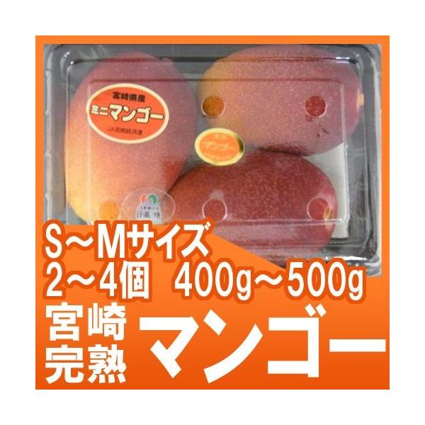 [Release date: March 25, 2026]中玉S〜Mサイズ【宮崎マンゴー】とろけるような濃厚な甘さ！！！お家用や気軽なプレゼントに最適なパック入り秀品♪/母の日/父の日/お中元/フルーツ/果物/爆買