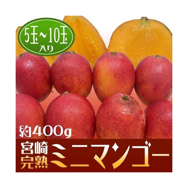 【オススメ】 宮崎 特産 ミニマンゴー 大　9玉セット　1.1キロ〜 宮崎県より産地直送 JAみやざき宮崎中央地区本部 完熟ミニ