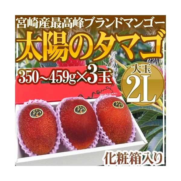 マンゴー 太陽のタマゴ 送料無料の人気商品・通販・ マンゴー 太陽のタマゴ 送料無料の人気商品・通販・