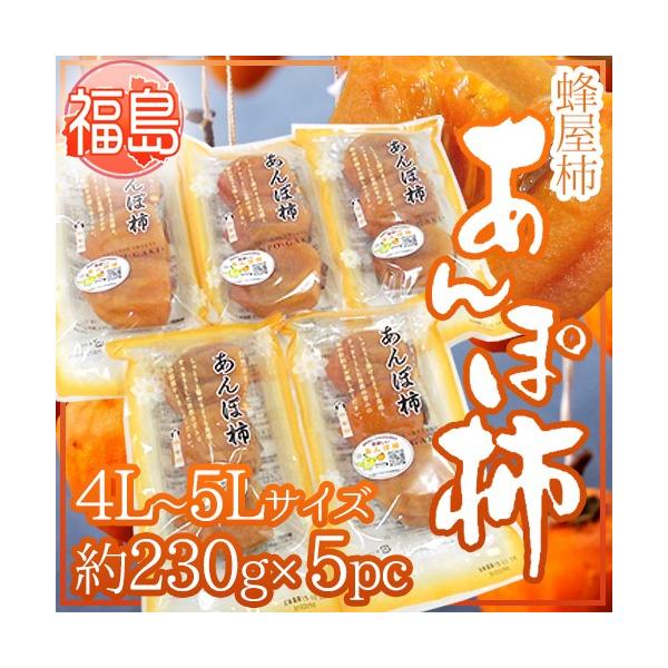 Y JAӂܖ hۊ`h 4L`5LTCY 230g×5pc I`gpy\ 12ȍ~z 