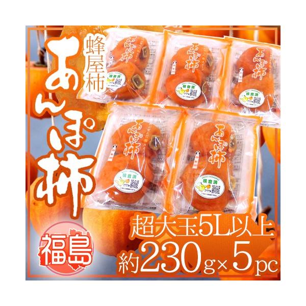 Y JAӂܖ hۊ`h 5LTCYȏ 230g×5pc I`gpy\ 12ȍ~z 