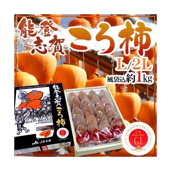 ΐ쌧 h\ouꂱ`h L/2LTCY 16`20 ܍1kg ϔ ͘I` GI}[Nty\ 12{ȍ~z 