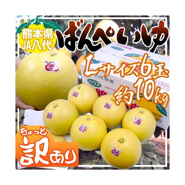 F{Y hӔMh ΂؂ Ɩ󂠂 LTCY 6 10kg y\ 12ȍ~z 